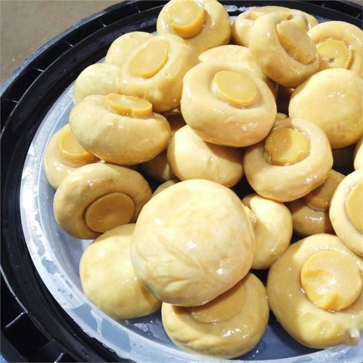 high quality preserved mushroom in barrel 